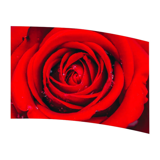 Digital Print Flag - MG RED ROSE
